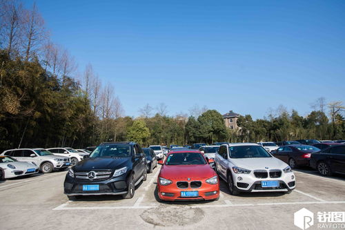 在全国各省市,汽车销量前三位被BBA豪华品牌占据的唯有一个省